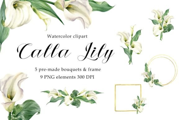 Hand-Painted Elegance: Your Digital Toolkit for Creative Expression