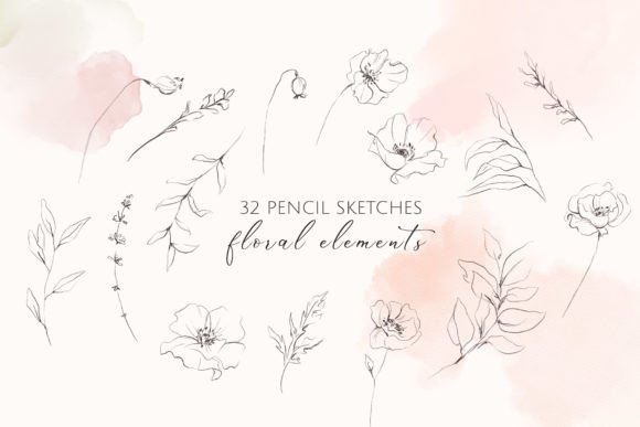 Pencil Floral Poppy Sketches for Creative Projects