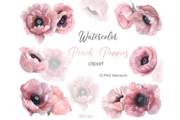 The Elegance of Watercolor Clipart: Bringing Floral Poppy Flowers to Your Projects