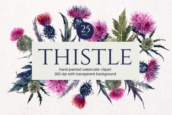 Thistle Watercolor Clipart: A Versatile Tool for Creative Projects